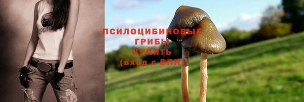 прущий лед Богородицк