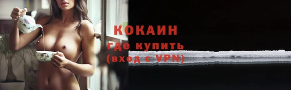 прущий лед Богородицк